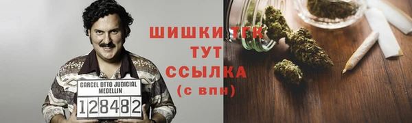 экстази Бородино