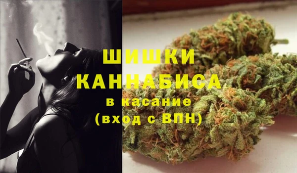 экстази Бородино
