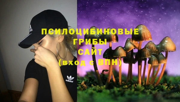 бутират Бугульма