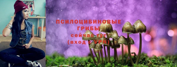 трава Бронницы