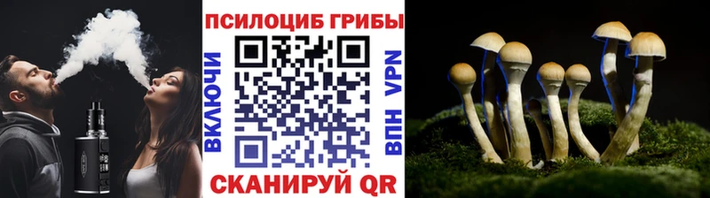 Галлюциногенные грибы ЛСД  где найти наркотики  OMG зеркало  Качканар 